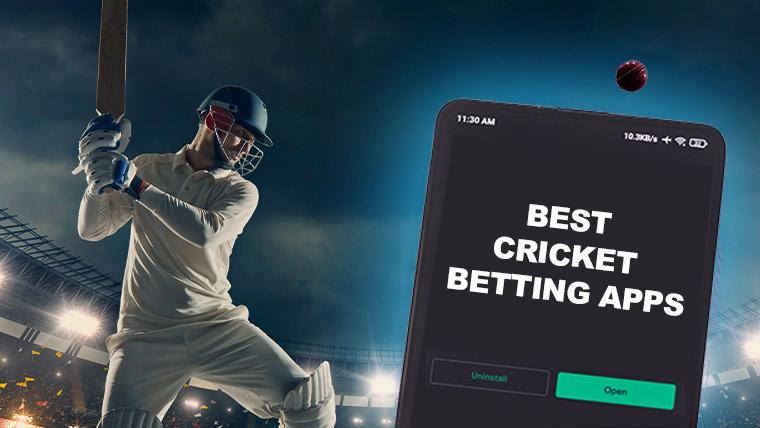 Introduction to Reddy Anna and Online Cricket Betting