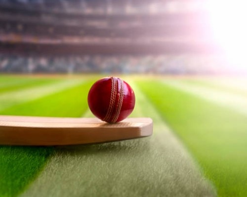 Cricket ball on bat