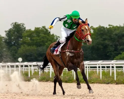Horse race